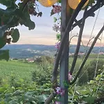 Casa De Ferias Completa Com Piscina Privada, Casa Do Vale - Douro, Independente, Vistas Deslumbrantes Nyaraló