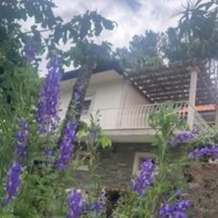 Casa Do Vale - Douro Holiday home Vilar de Macada