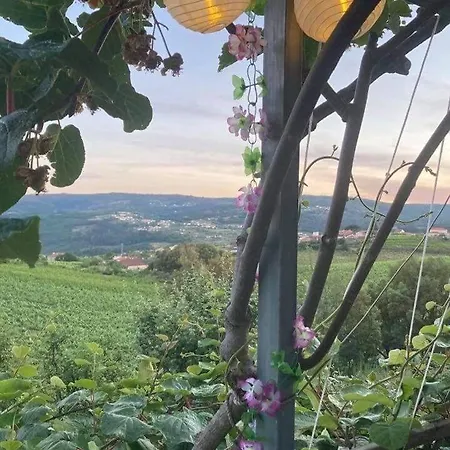 Casa De Completa Com Piscina Privada, Casa Do Vale - Douro, Independente, Vistas Deslumbrantes Сasa de vacaciones