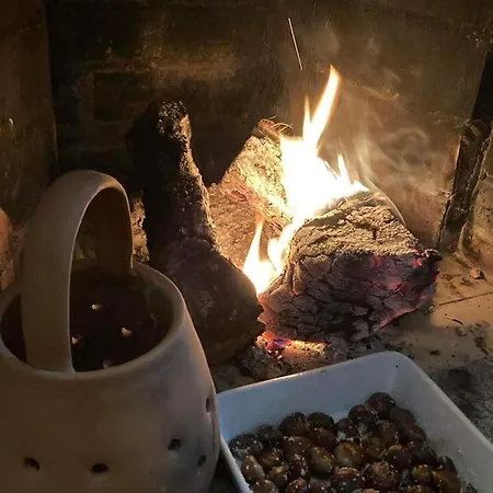 Casa Do Vale - Douro *