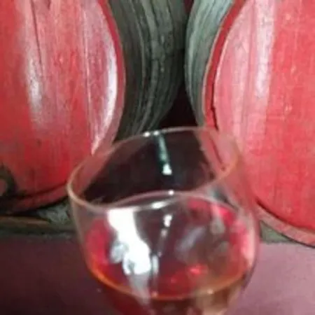 Casa Do Vale - Douro Casa vacanze *