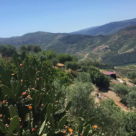 Casa De Completa Com Piscina Privada, Casa Do Vale - Douro, Independente, Vistas Deslumbrantes Сasa de vacaciones