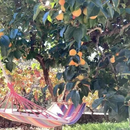 Casa Do Vale - Douro Holiday home Vilar de Macada