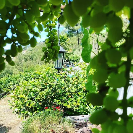 Casa Do Vale - Douro Holiday home