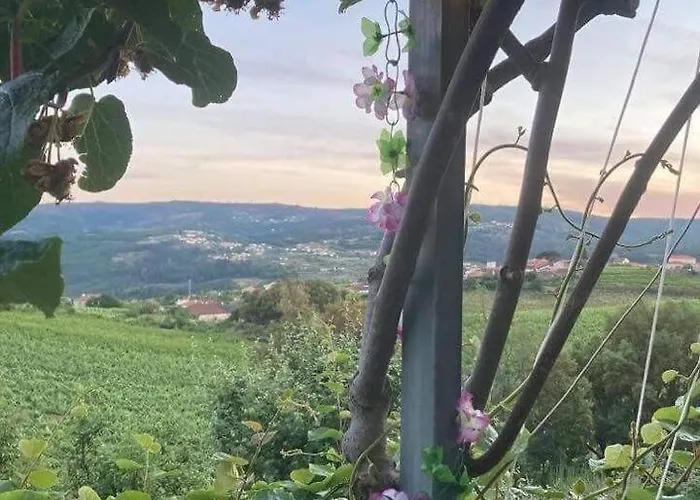 Casa Do Vale - Douro Σπίτι διακοπών
