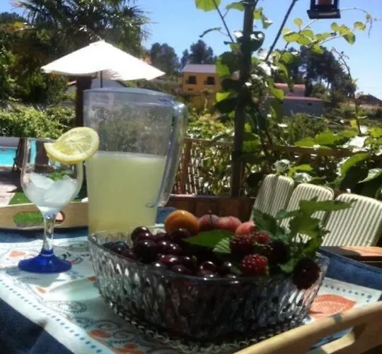 Semesterbostad Casa Do Vale - Douro Vilar de Macada