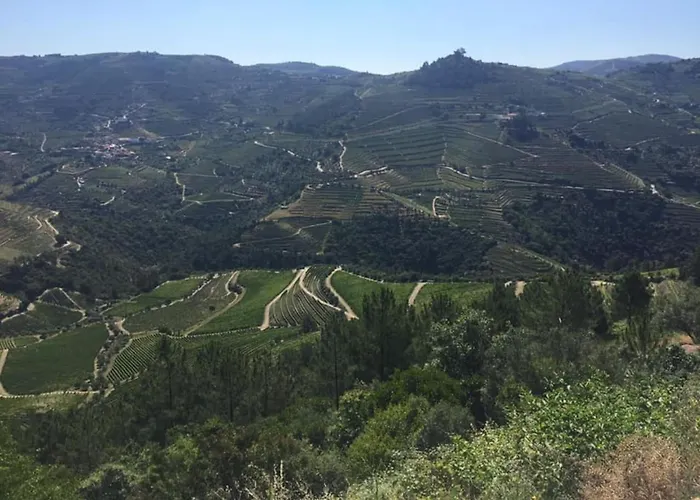 Casa Do Vale - Douro * Vilar de Macada