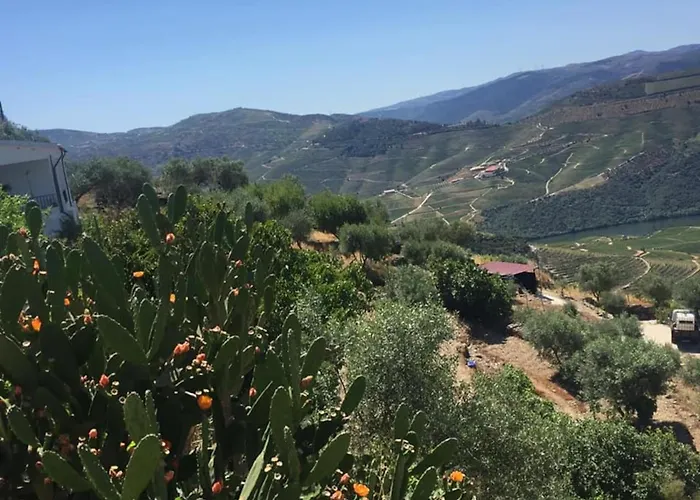 Casa Do Vale - Douro Semesterbostad