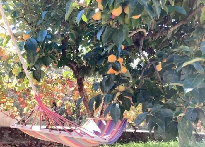 Casa Do Vale - Douro Semesterbostad Vilar de Macada