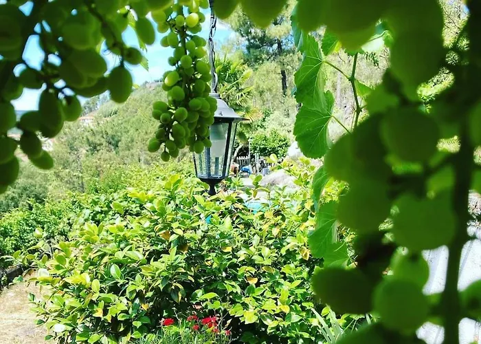 Casa Do Vale - Douro بيت للعطل