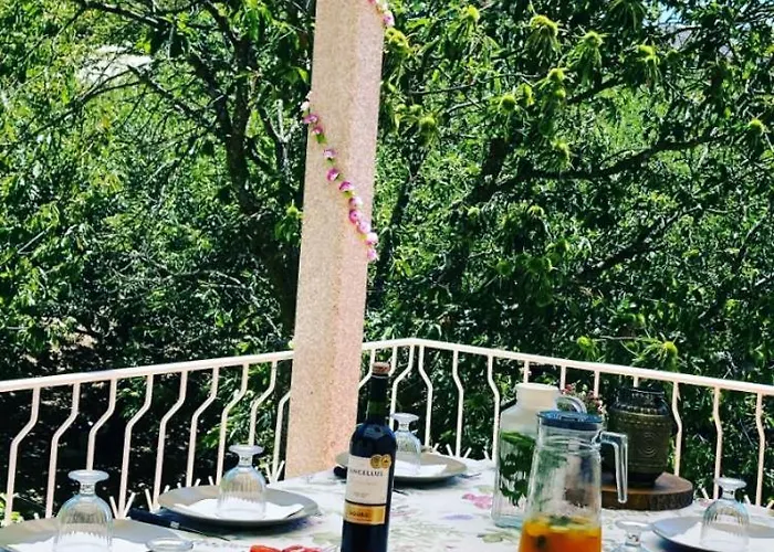 Casa Do Vale - Douro * Vilar de Macada